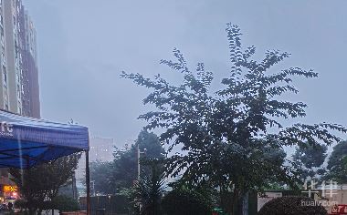 明星造谣诬陷